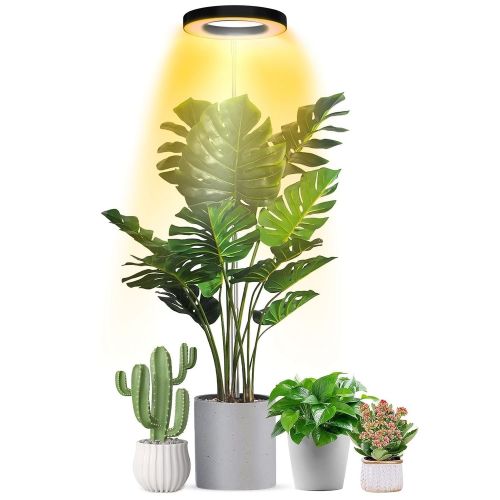 Plant Grow Light LED Full Spectrum Circle Growing Lamp with 3/9/12Hours Auto Timer Setting 9 Dimmable Brightness Height Adjustable for Indoor Pla Plant Grow Light LED Full Spectrum Circle Growing Lamp with 3/9/12Hours Auto Timer Setting 9 Dimmable Brightness Height Adjustable for Indoor Pla